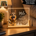 Personalized Mountain Pet Memorial Night Light – Custom Dog & Cat Photo