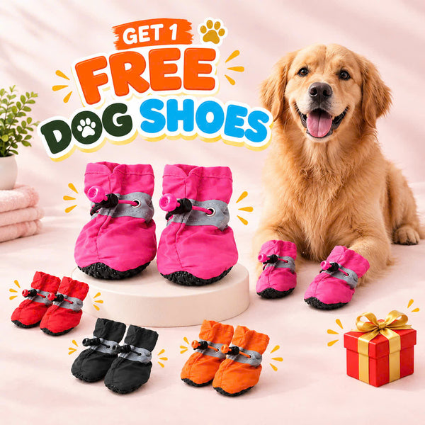 Free Gifts With Offer