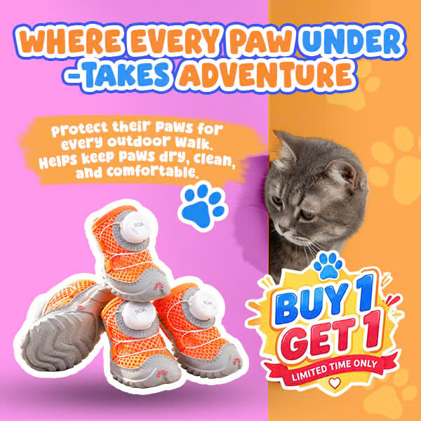 Buy 1, Get 1 FREE