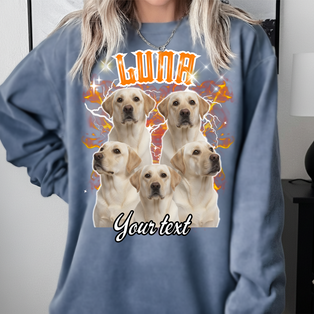 Custom Pet Portrait Printed T shirt, Sweatshirt, Hoodie, Custom Pet Photo (Copy)