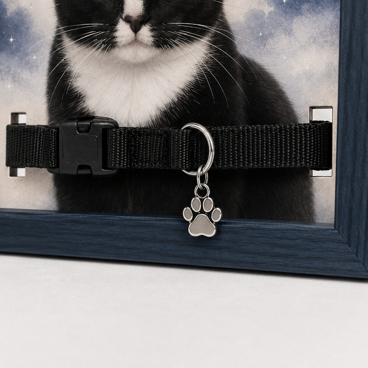 Personalized Celestial Pet Memorial Collar Display – Custom Photo Keepsake