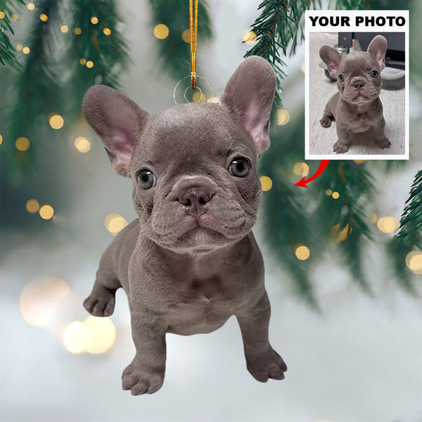 Personalized Pet Acrylic Christmas Ornament - Custom Dog, Cat Photo Christmas Ornament