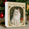 2d Cat Advent Calendar, Ornament Advent Calendar, 2025 Advent Calendar, Christmas Countdown Calendar