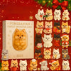2d Cute Pomeranian Advent Calendar, Ornament Advent Calendar, 2025 Advent Calendar, Christmas Countdown Calendar