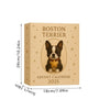 2d Cute Boston Terrier Advent Calendar, Ornament Advent Calendar, 2025 Advent Calendar, Christmas Countdown Calendar