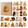 2d Cute Pomeranian Advent Calendar, Ornament Advent Calendar, 2025 Advent Calendar, Christmas Countdown Calendar