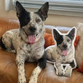 Custom Pet Pillow Personalized Dog & Cat Pillow
