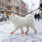 Dog Boots Waterproof Non-Slip All-Weather Protective Dog Shoes (4PCS/Set)
