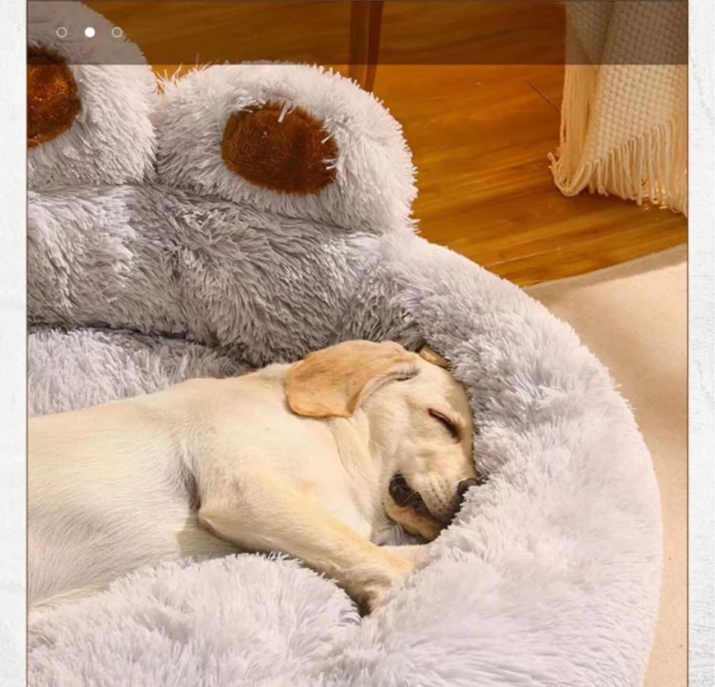 Cama FluffyPaw tamaño matrimonial, nueva