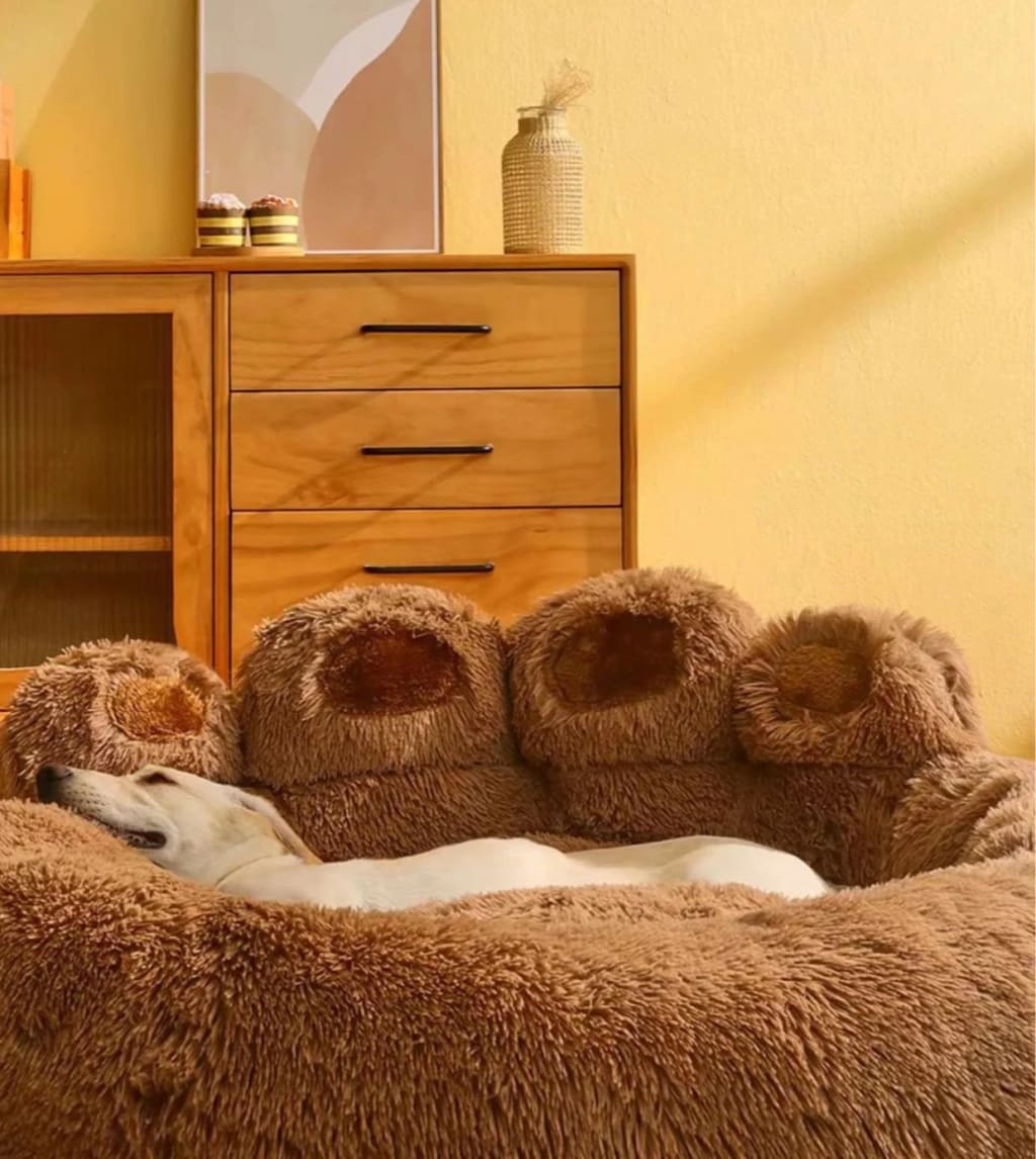 Cama FluffyPaw tamaño matrimonial, nueva
