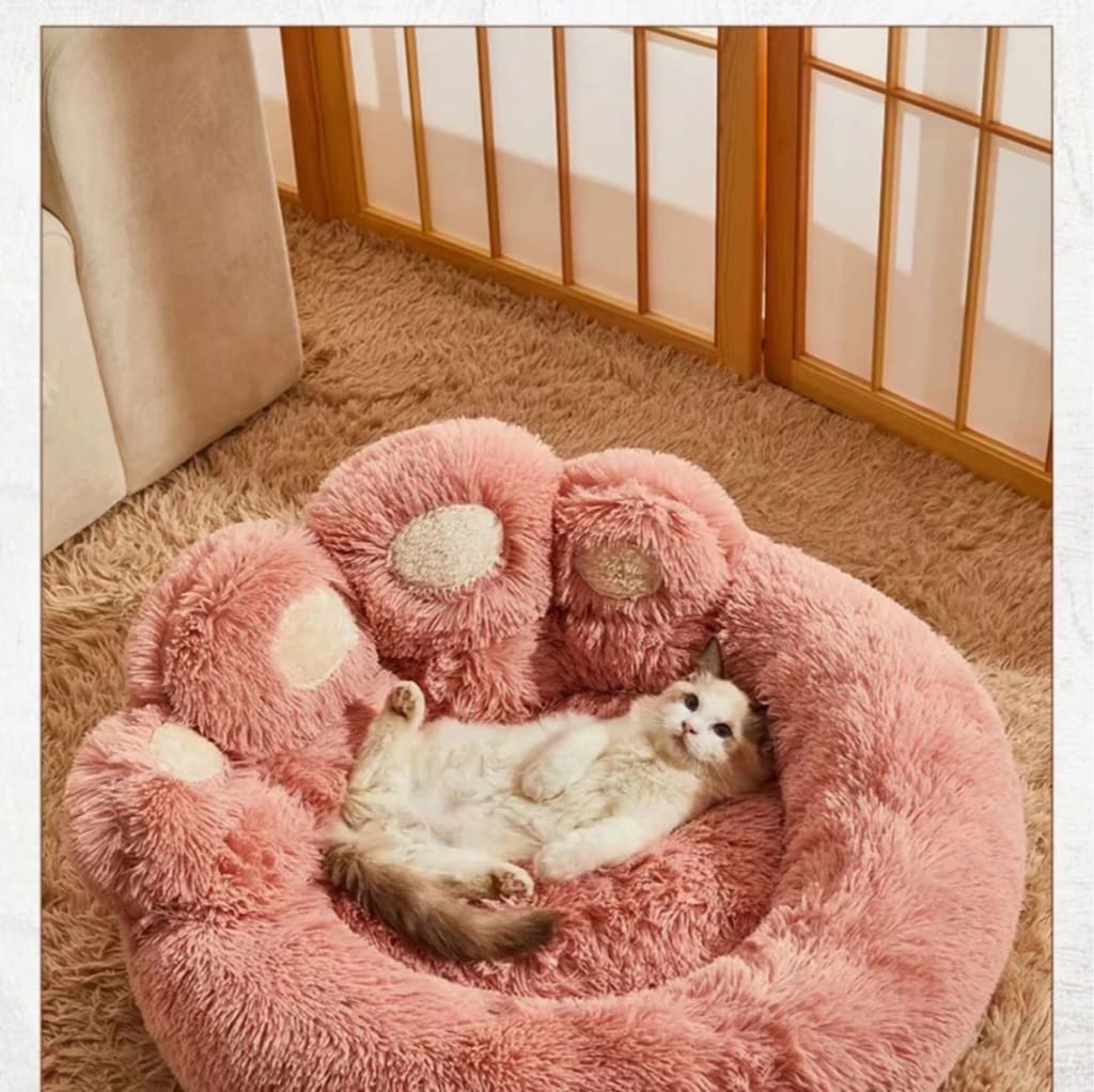 Cama FluffyPaw tamaño matrimonial, nueva