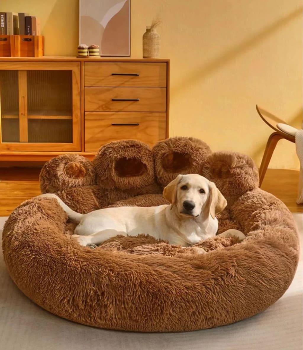 Cama FluffyPaw tamaño matrimonial, nueva