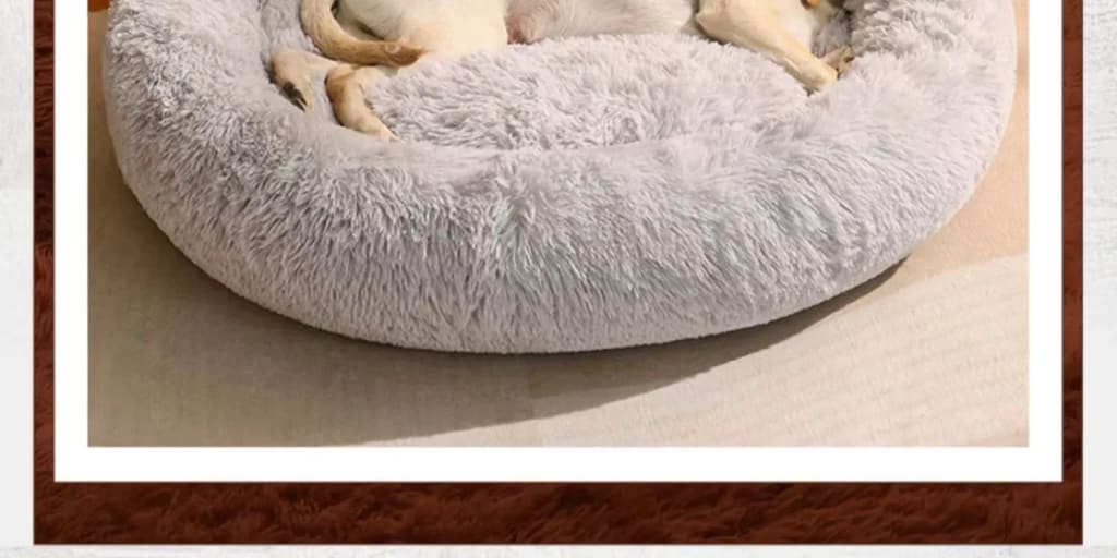 Cama FluffyPaw tamaño matrimonial, nueva