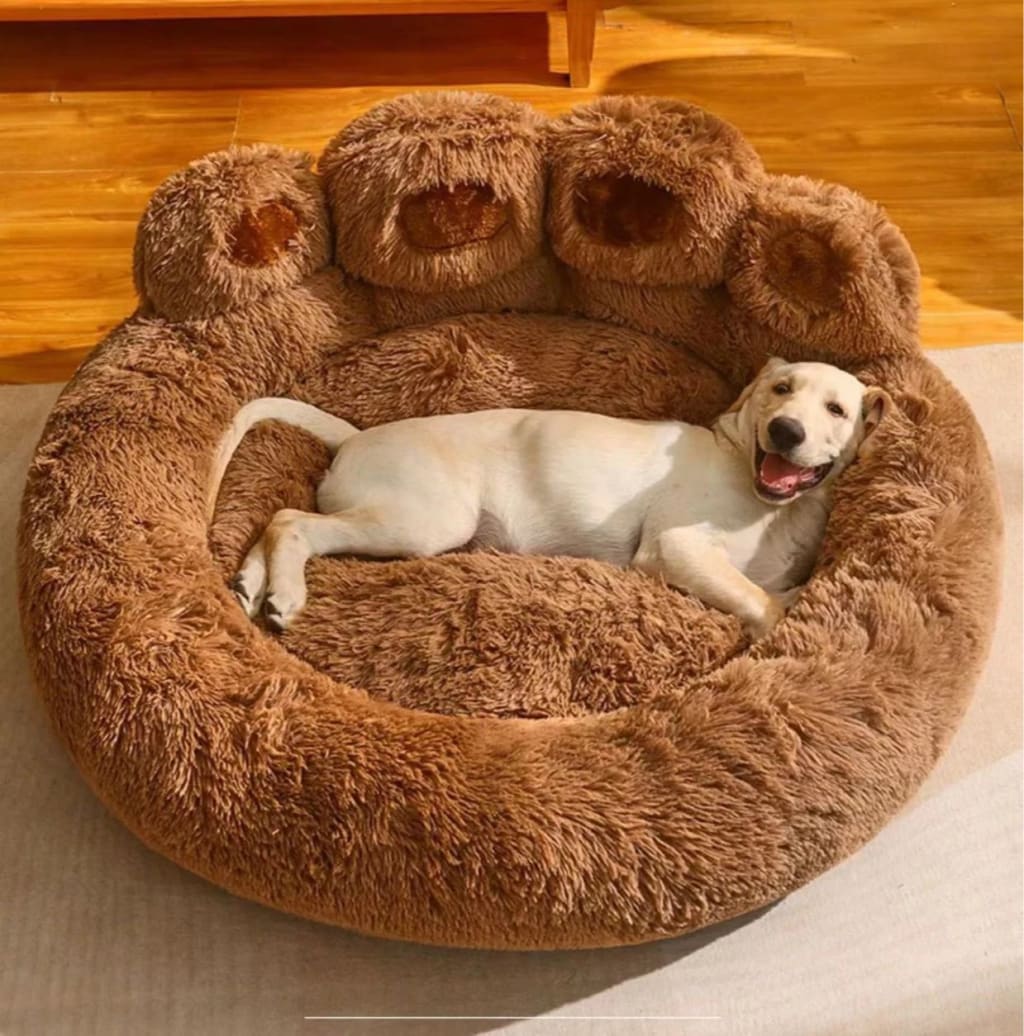 Cama FluffyPaw tamaño matrimonial, nueva