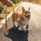 Dog Boots Waterproof Non-Slip All-Weather Protective Dog Shoes (4PCS/Set)